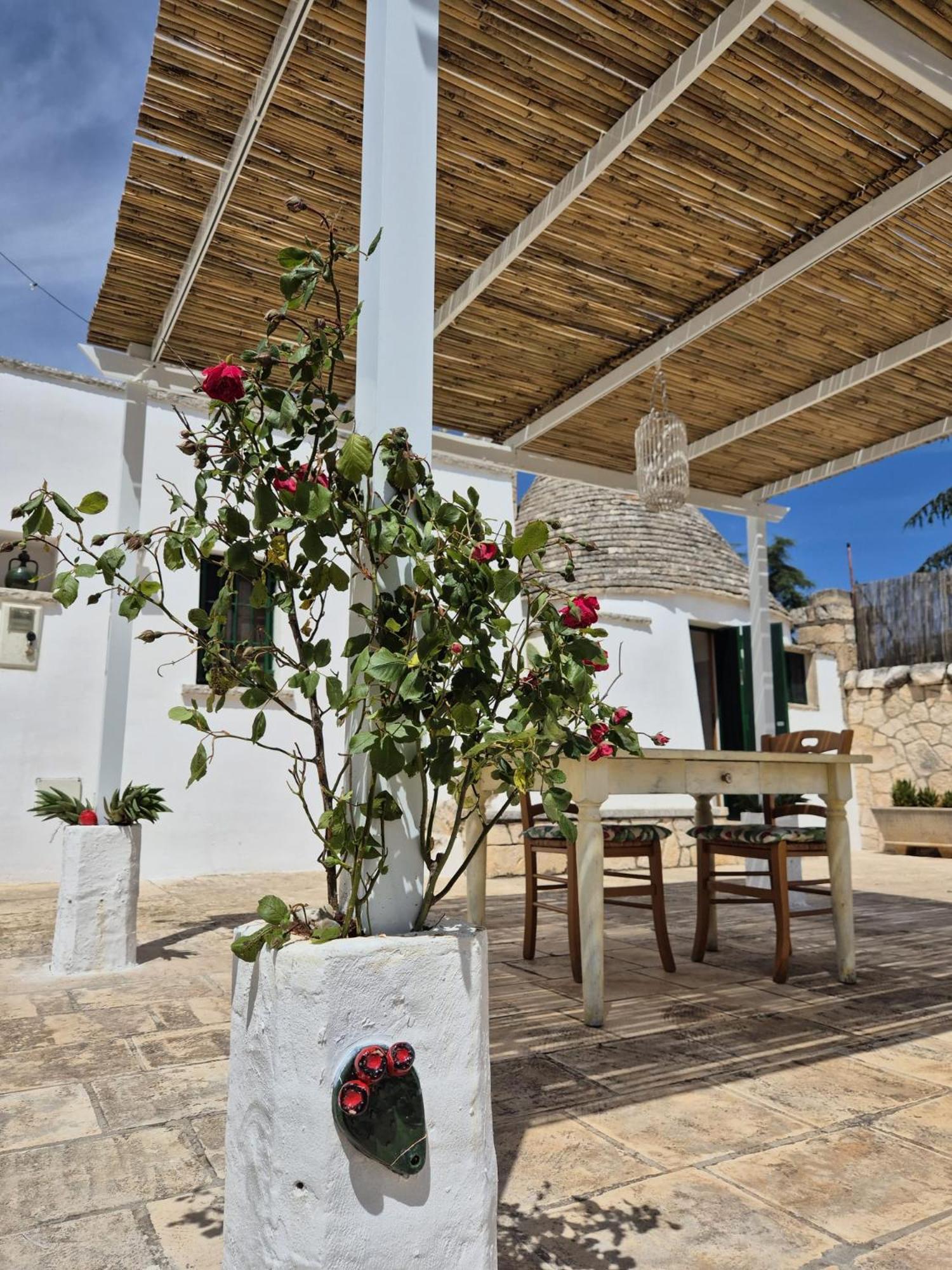 Trulli And Pool - I Cactus Villa Martina Franca Eksteriør billede